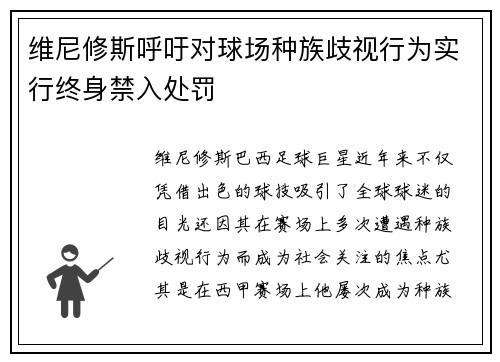 维尼修斯呼吁对球场种族歧视行为实行终身禁入处罚